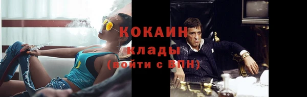 стаф Абаза