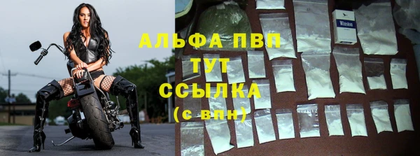 стаф Абаза