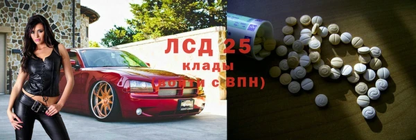 стаф Абаза